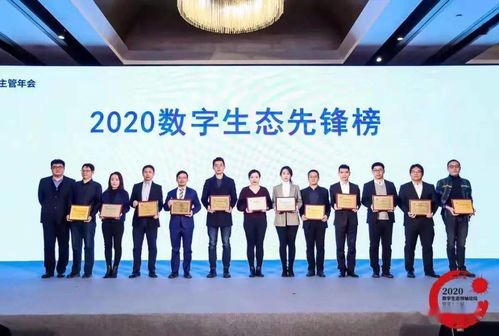 数字乡村 数字北宋 建设再创佳绩 荣获2020数字化转型经典案例奖