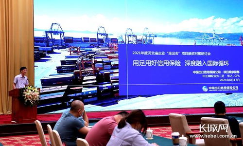 政银信 携手 河北积极支持企业走出去发展